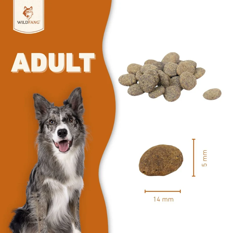 Adult Trockenfutter mit Angus Rind - getreidefrei