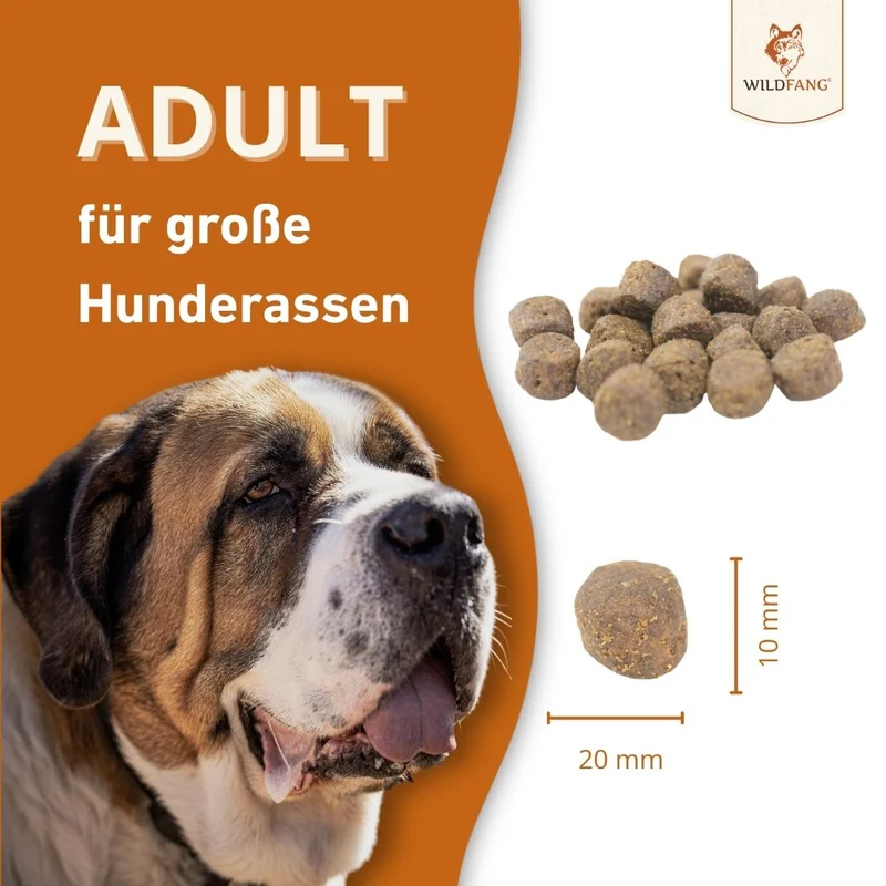 Maxi Adult Trockenfutter mit Lachs und Forelle - ideal für große Hunderassen - getreidefrei