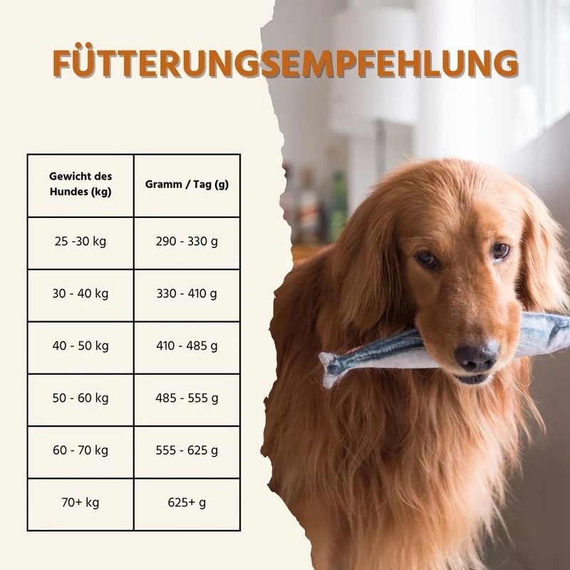Maxi Adult Trockenfutter mit Lachs und Forelle - ideal für große Hunderassen - getreidefrei
