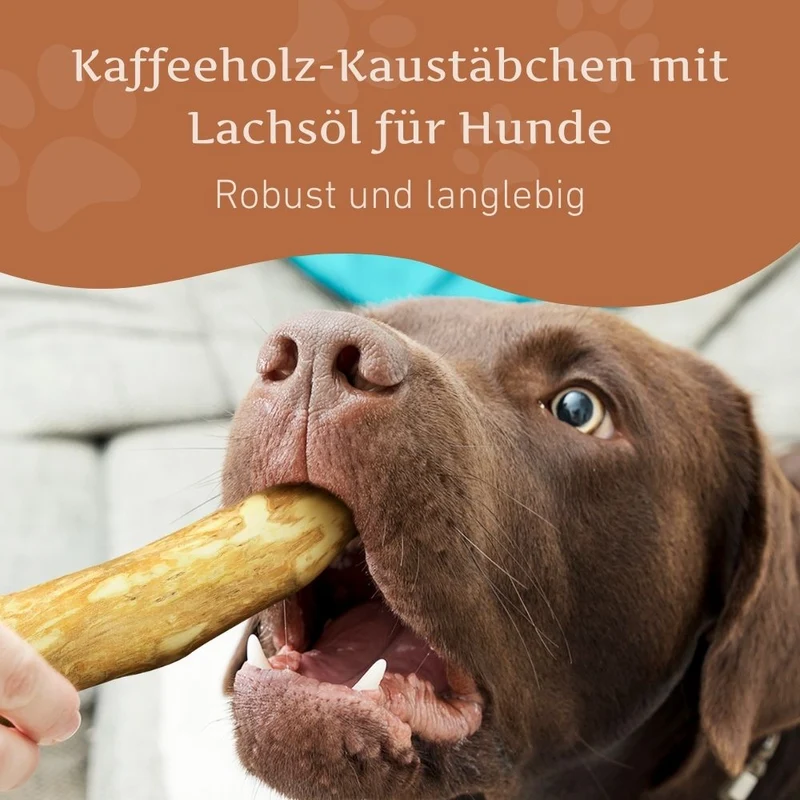 Kaffeeholz Kaustab mit Lachsöl