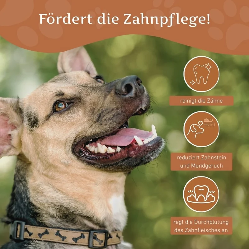 Kaffeeholz Kaustab mit Lachsöl