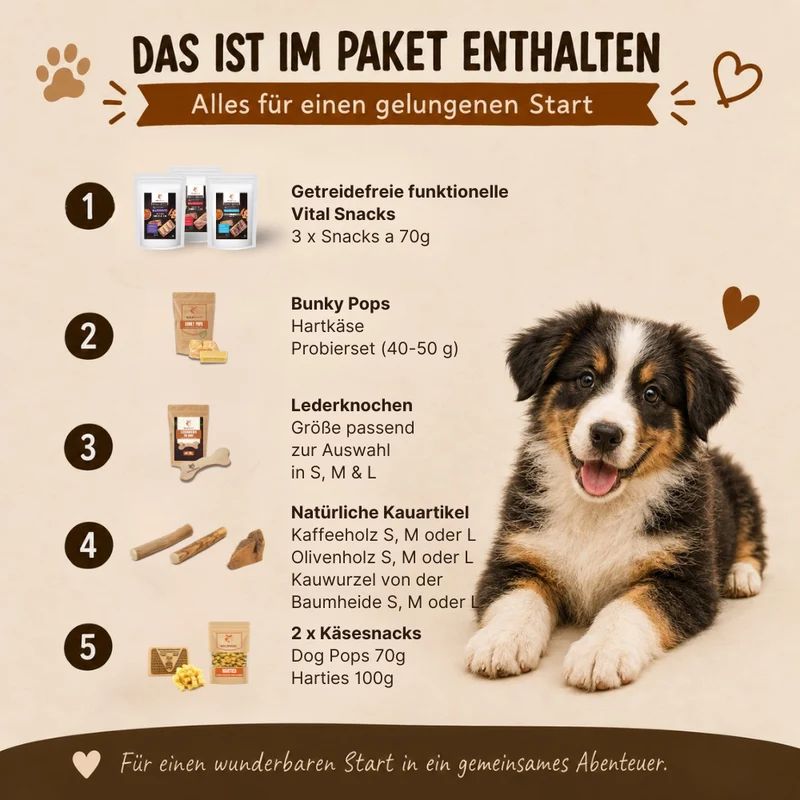 Welpen Paket XXL "Willkommen Liebling"