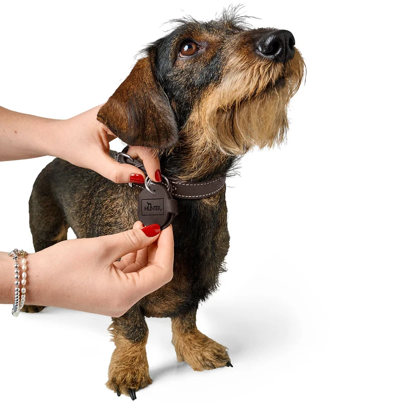 Anhänger Hundemarken-Etui Aalborg