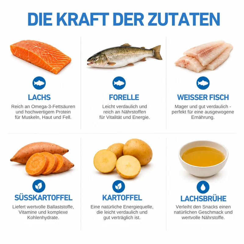Ocean Protein – Premium Hundesnacks mit 80 % Fisch