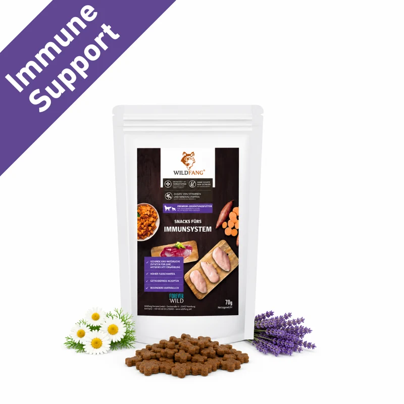 Immune Support Hundesnacks – Funktionale Snacks fürs Immunsystem