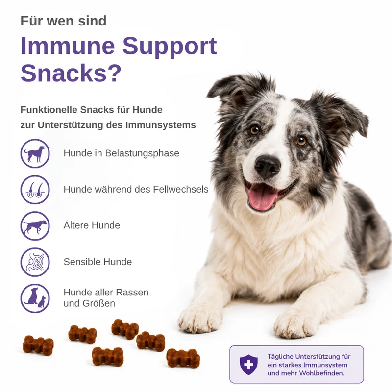 Immune Support Hundesnacks – Funktionale Snacks fürs Immunsystem