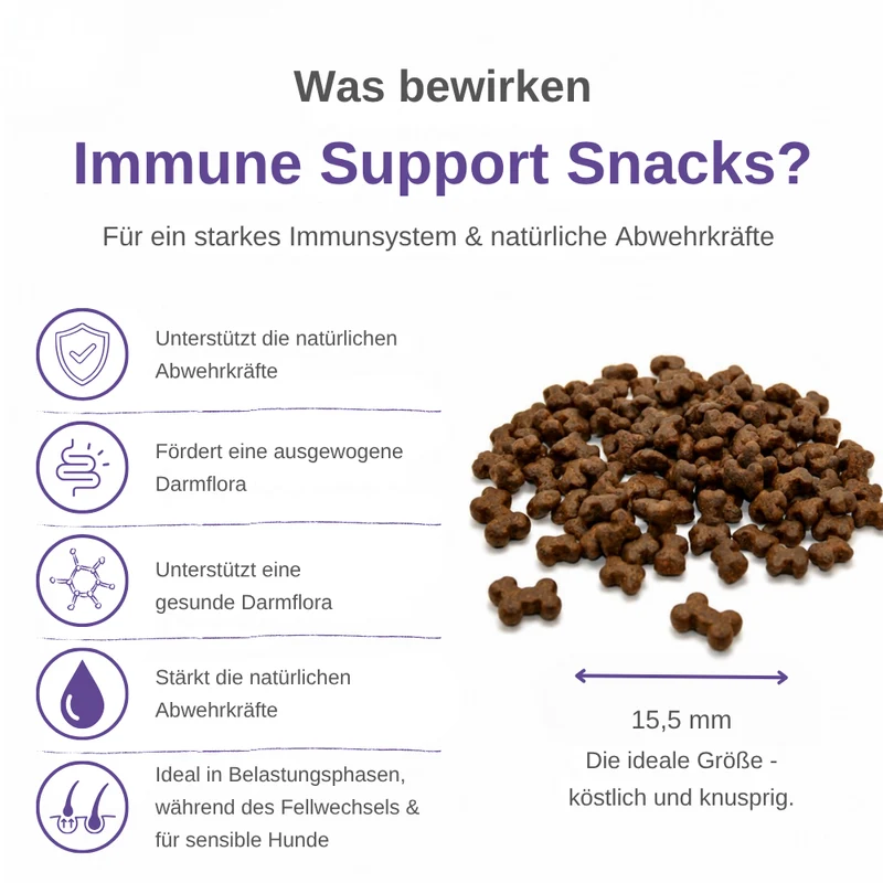 Immune Support Hundesnacks – Funktionale Snacks fürs Immunsystem
