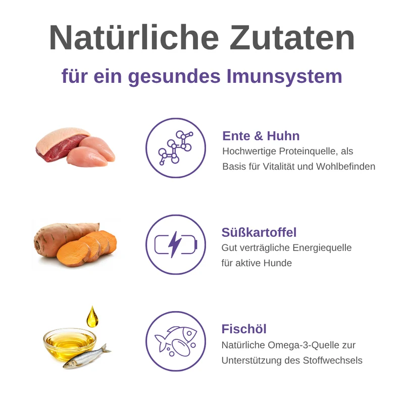 Immune Support Hundesnacks – Funktionale Snacks fürs Immunsystem