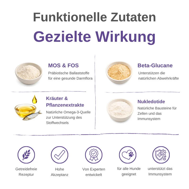 Immune Support Hundesnacks – Funktionale Snacks fürs Immunsystem
