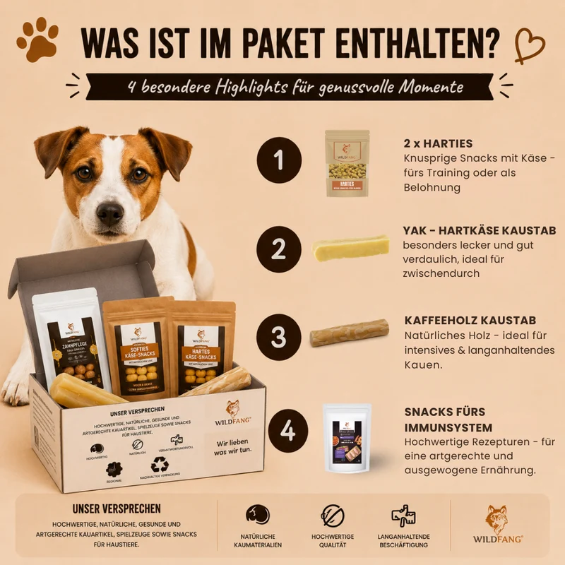 Paket "Morgenstunde"
