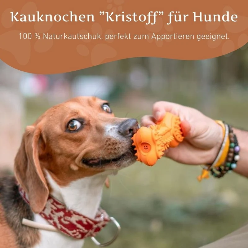 Quietschknochen "Kristoff"