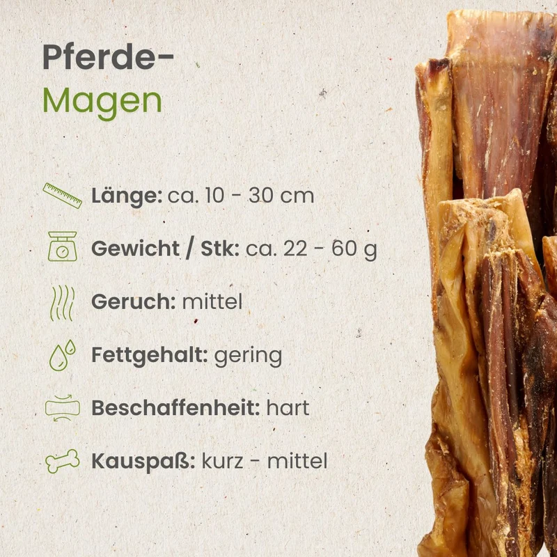 Pferde-Magen
