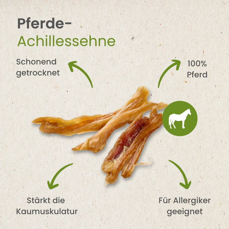 Pferde-Achillessehne