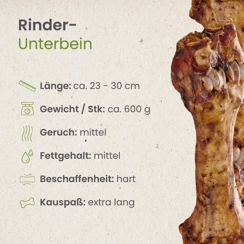 Rinder-Unterbein