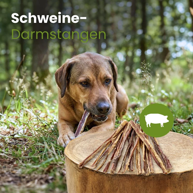 Schweine-Darmstangen 20cm