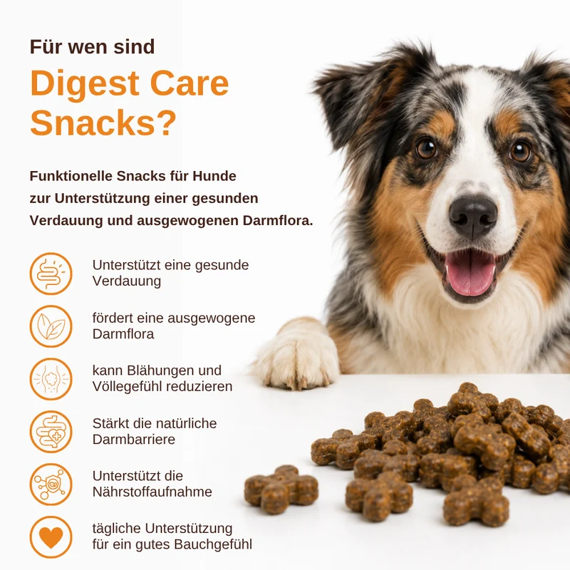 Digest Care – Funktionelle Snacks für eine gesunde Verdauung - 3er Set