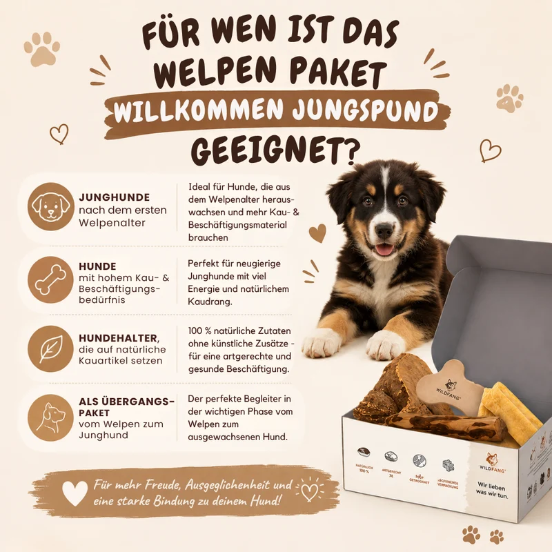 Welpen Paket "Willkommen Jungspund"