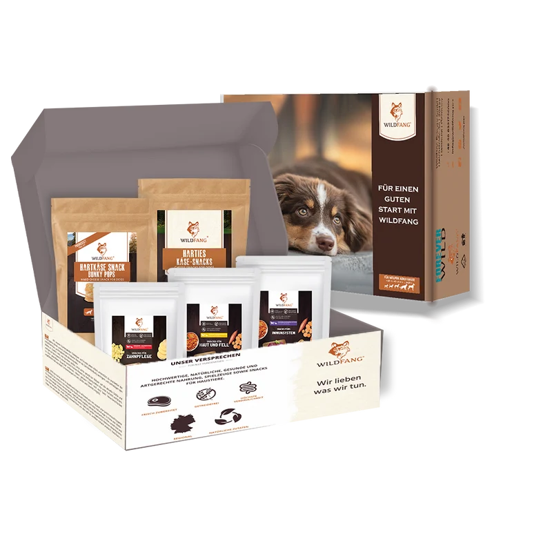Paket "Snack gesund"
