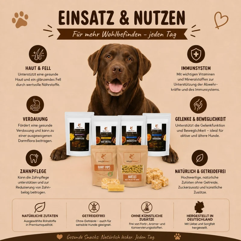 Paket "Snack gesund"