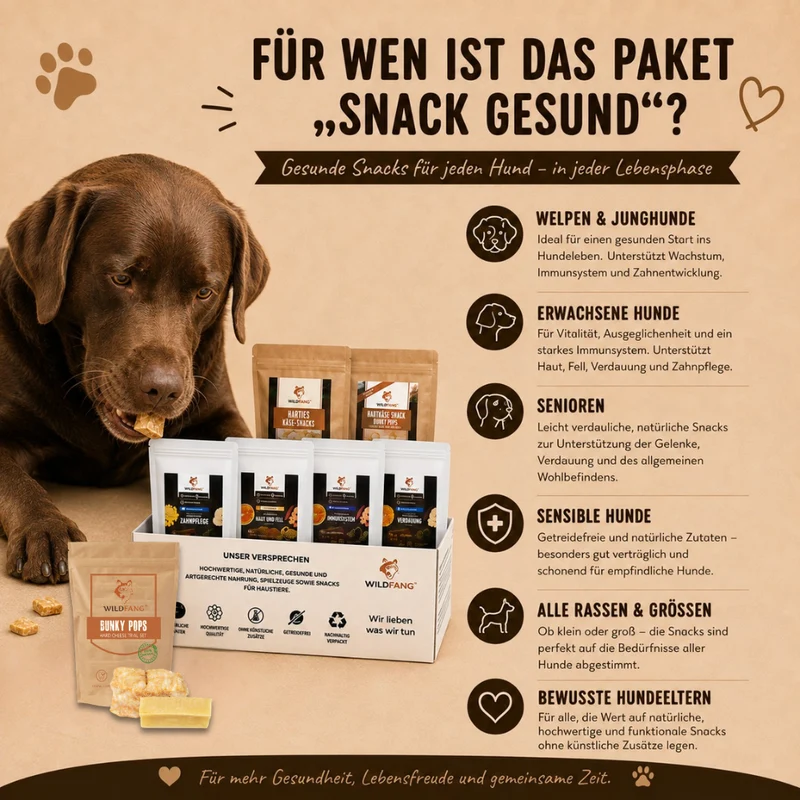 Paket "Snack gesund"