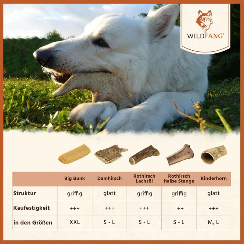 Kaukäse - Hartkäse Kaustab - Probierset Bunky Pops