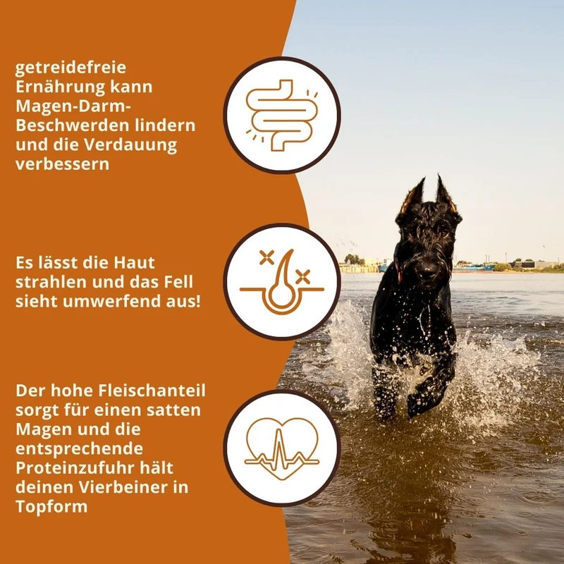 Maxi Adult Trockenfutter Sparpack 2 x 2 kg mit Lachs und Forelle - getreidefrei
