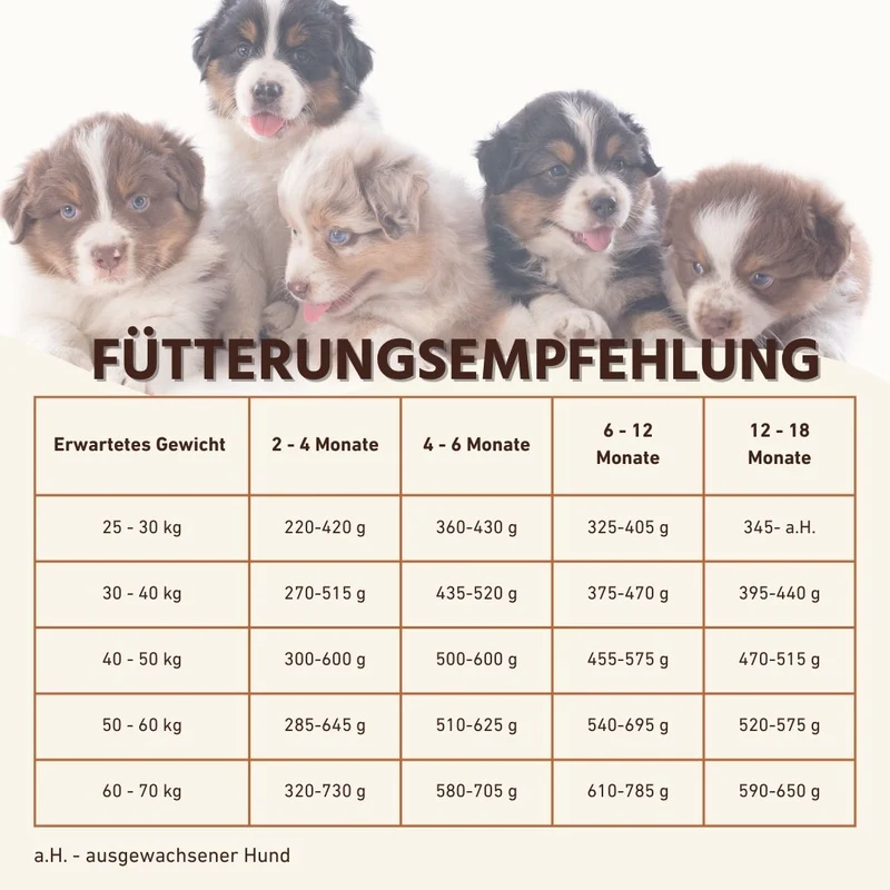 Junior Trockenfutter Sparpack 2 x 2 kg mit Lachs - getreidefrei - für Welpen