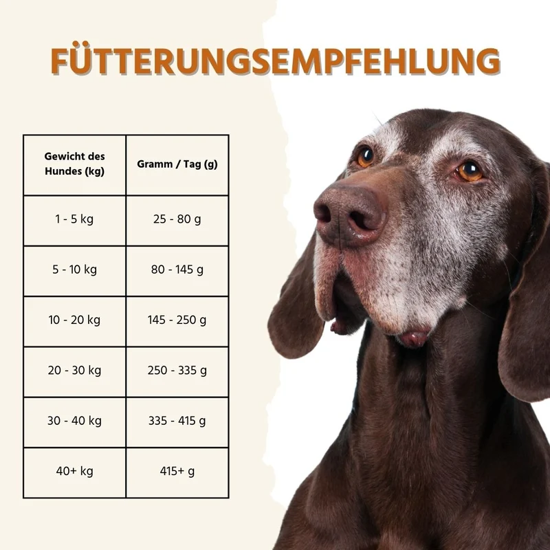 Sensitive Trockenfutter Sparpack 2 x 2 kg mit Truthahn - getreidefrei