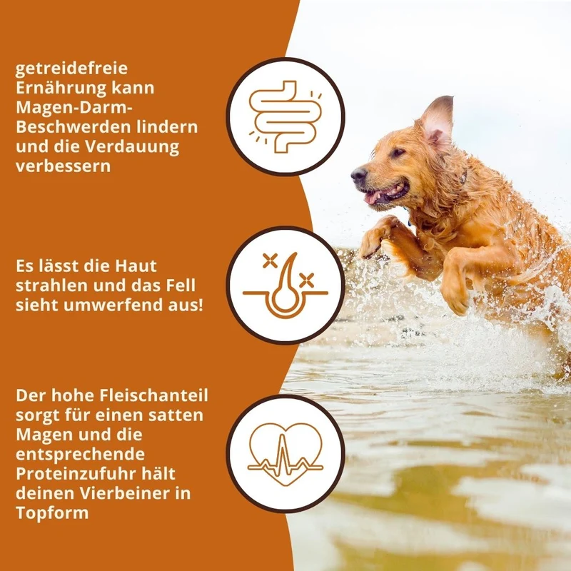 Adult Trockenfutter Sparpack 2 x 2 kg mit Thunfisch - getreidefrei