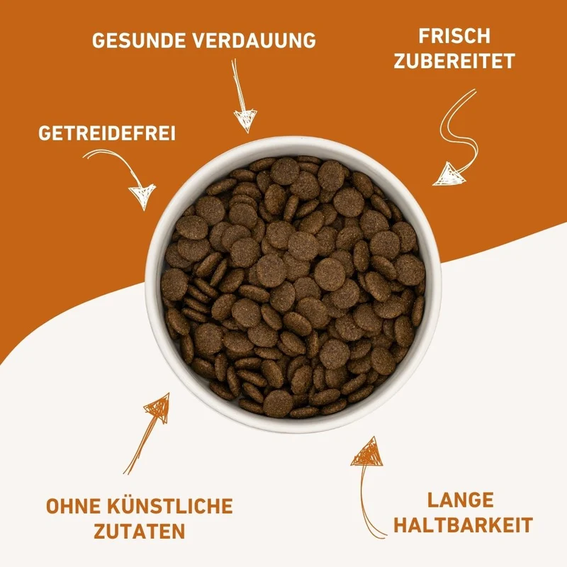 Adult Trockenfutter Sparpack 2 x 2 kg mit Angus Rind - getreidefrei