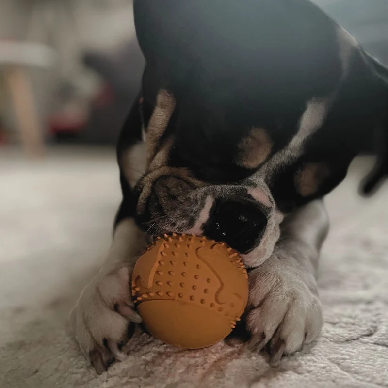 Snackball "Simba"
