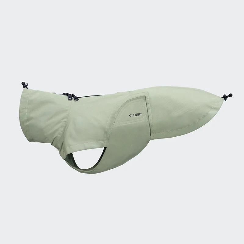 Hunderegenmantel Dublin 2.0 DACKEL Dusty Mint