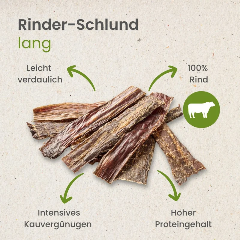 Rinder-Schlund, lang