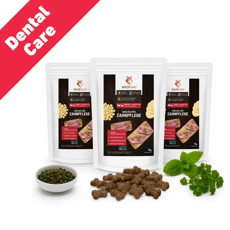 Dental Care – Funktionelle Zahnpflege Snacks für Hunde - 3er Set