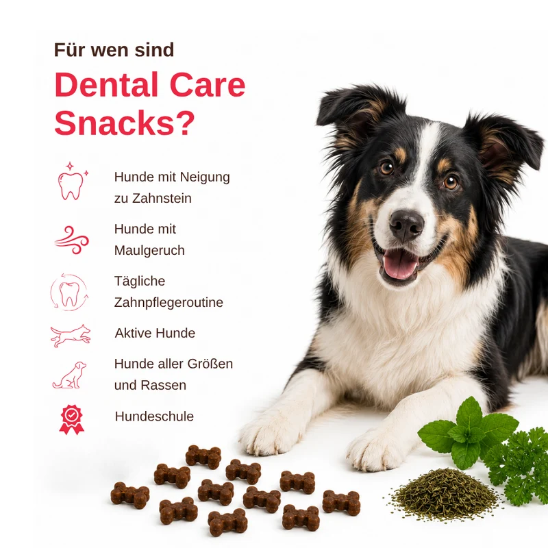 Dental Care – Funktionelle Zahnpflege Snacks für Hunde - 3er Set