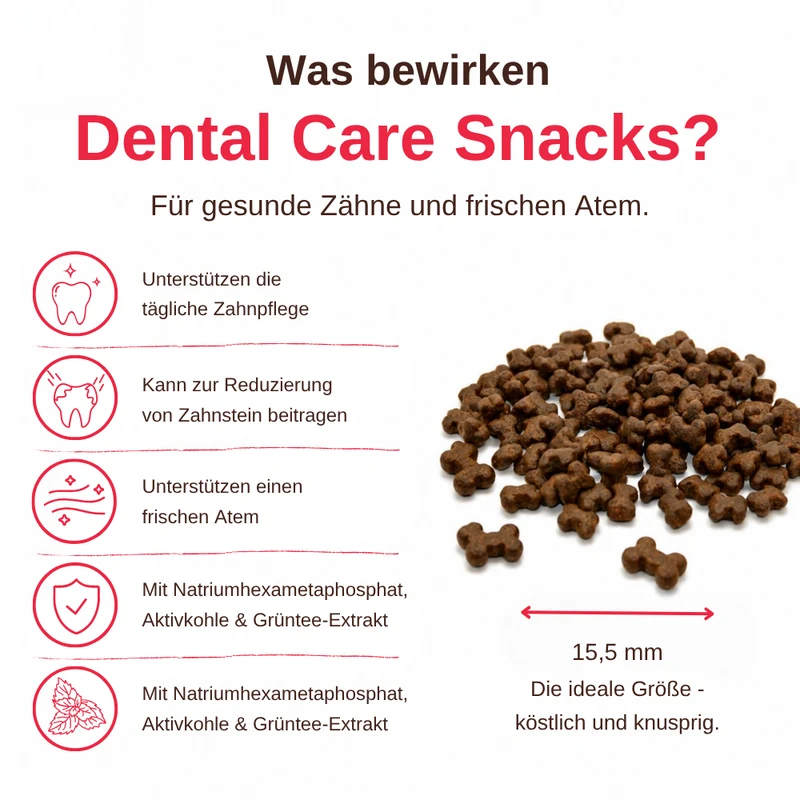 Dental Care – Funktionelle Zahnpflege Snacks für Hunde - 3er Set