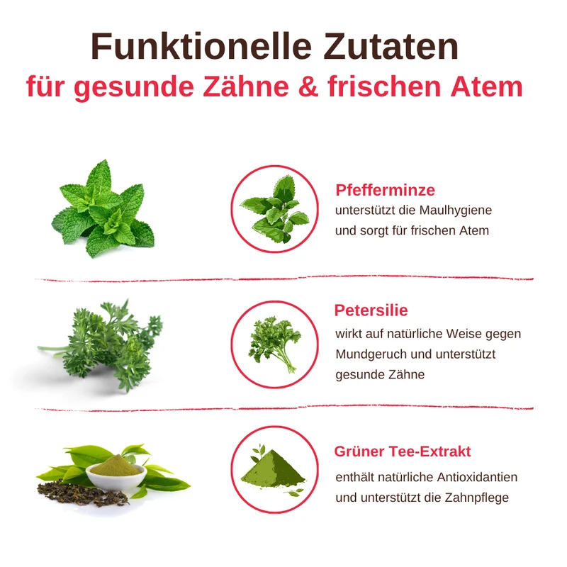 Dental Care – Funktionelle Zahnpflege Snacks für Hunde - 3er Set
