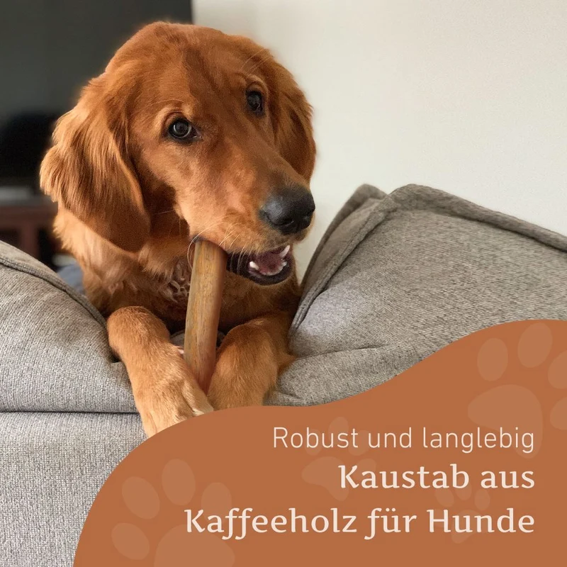 Kaffeeholz Kaustab