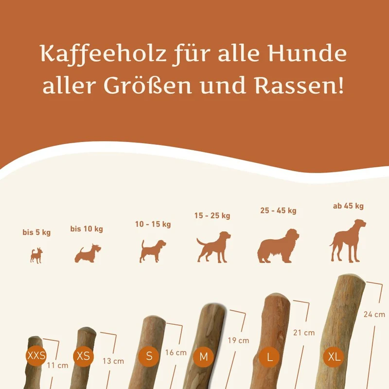 Kaffeeholz Kaustab