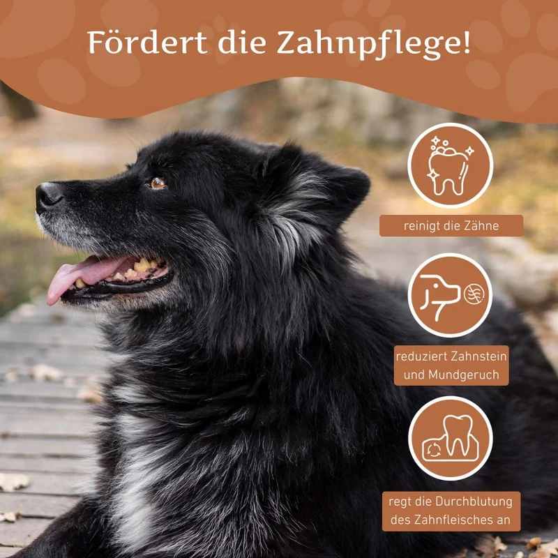 Kaffeeholz Kaustab