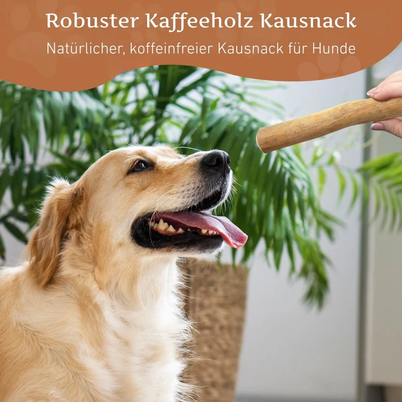 Kaffeeholz Kaustab