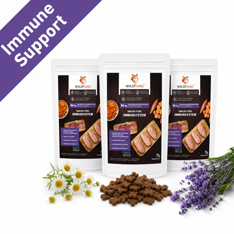 Immune Support Hundesnacks – Funktionale Snacks fürs Immunsystem - 3er Pack