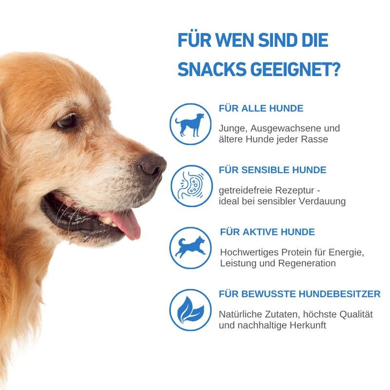 Ocean Protein – Premium Hundesnacks mit 80 % Fisch - 3er Set