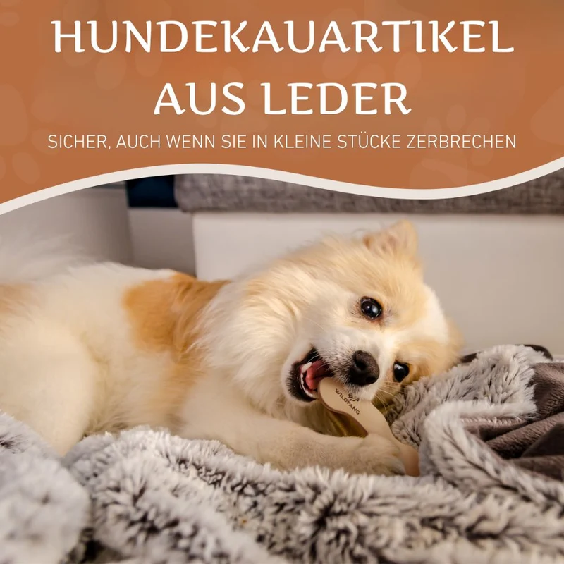 Lederknochen - Kauleder - 3er Set