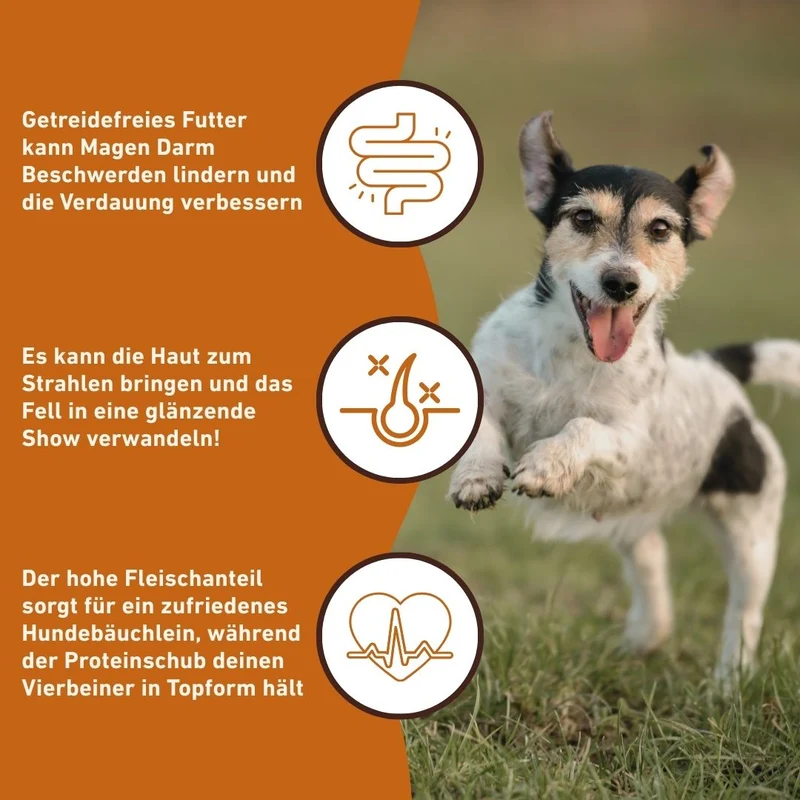Adult Trockenfutter mit Ente - getreidefrei