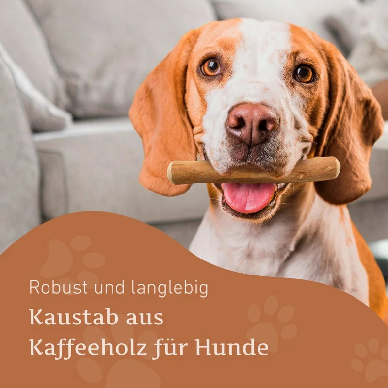 Kaffeeholz Kaustab - 3er Set