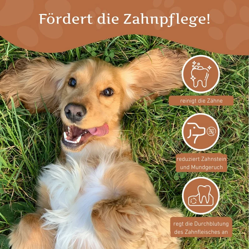 Kaffeeholz Kaustab - 3er Set