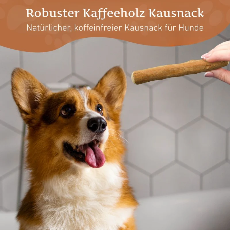 Kaffeeholz Kaustab - 3er Set