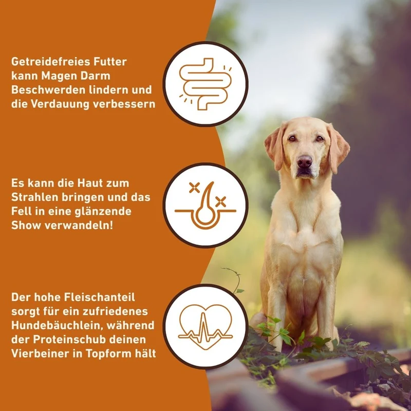 Adult Trockenfutter mit Lamm - getreidefrei