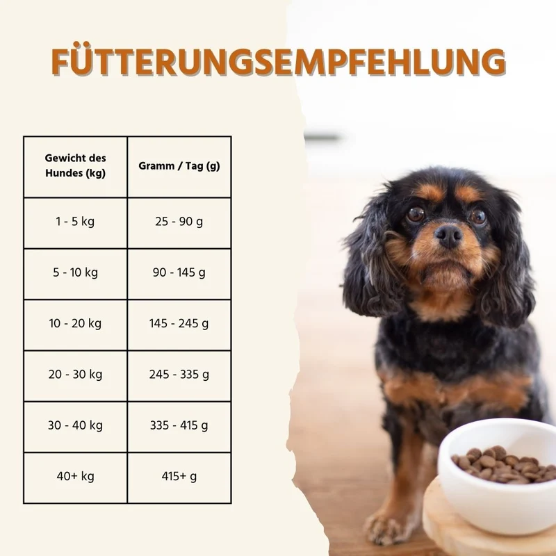 Adult Trockenfutter mit Lamm - getreidefrei